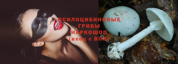 тгк Липки